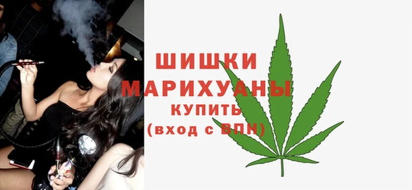 сатива Гусиноозёрск