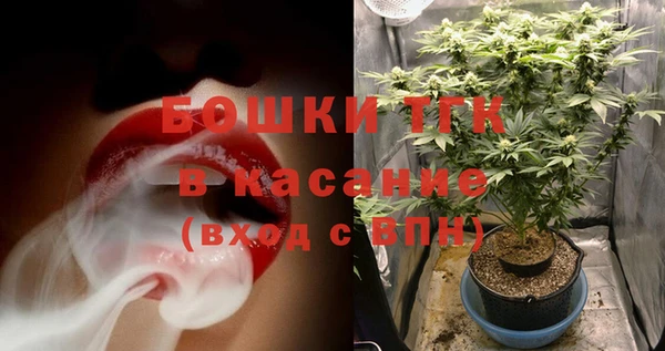 сатива Гусиноозёрск