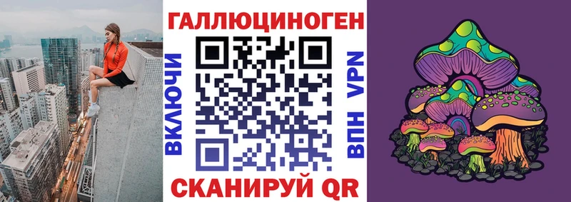 Псилоцибиновые грибы Psilocybine cubensis  Купить закладки  Юрьев-Польский 